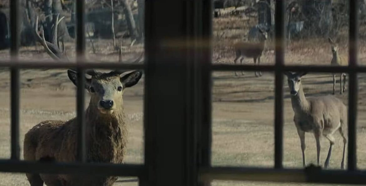 teaser tráiler de El día de la revelación de Steven Spielberg