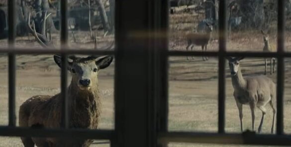 teaser tráiler de El día de la revelación de Steven Spielberg