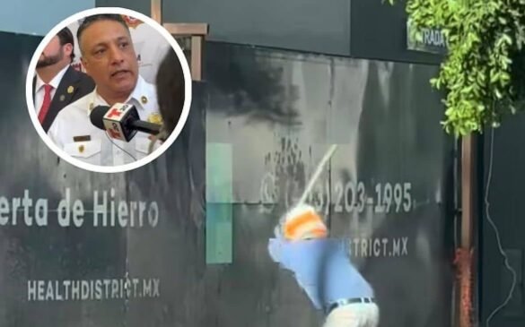 Tala de árboles en Zona Río de Tijuana durante obras urbanas