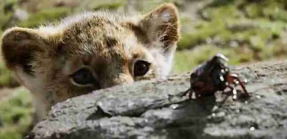 Trailer El rey león