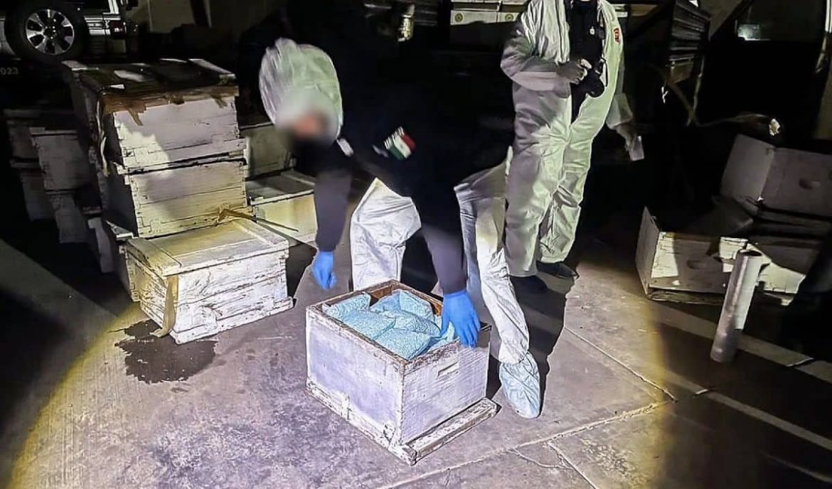 El exdirector de la DEA Mike Vigil Mulas del fentanilo son estadounidenses