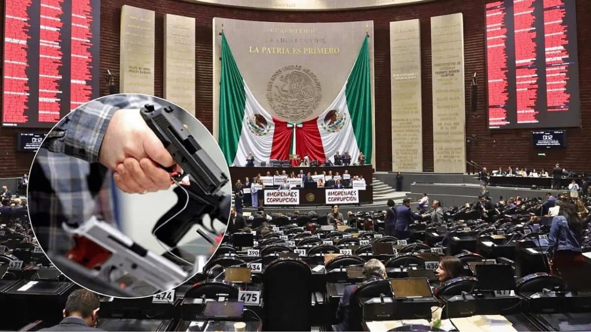 Reforma de armas 2025: ¿Quiénes podrán portarlas?