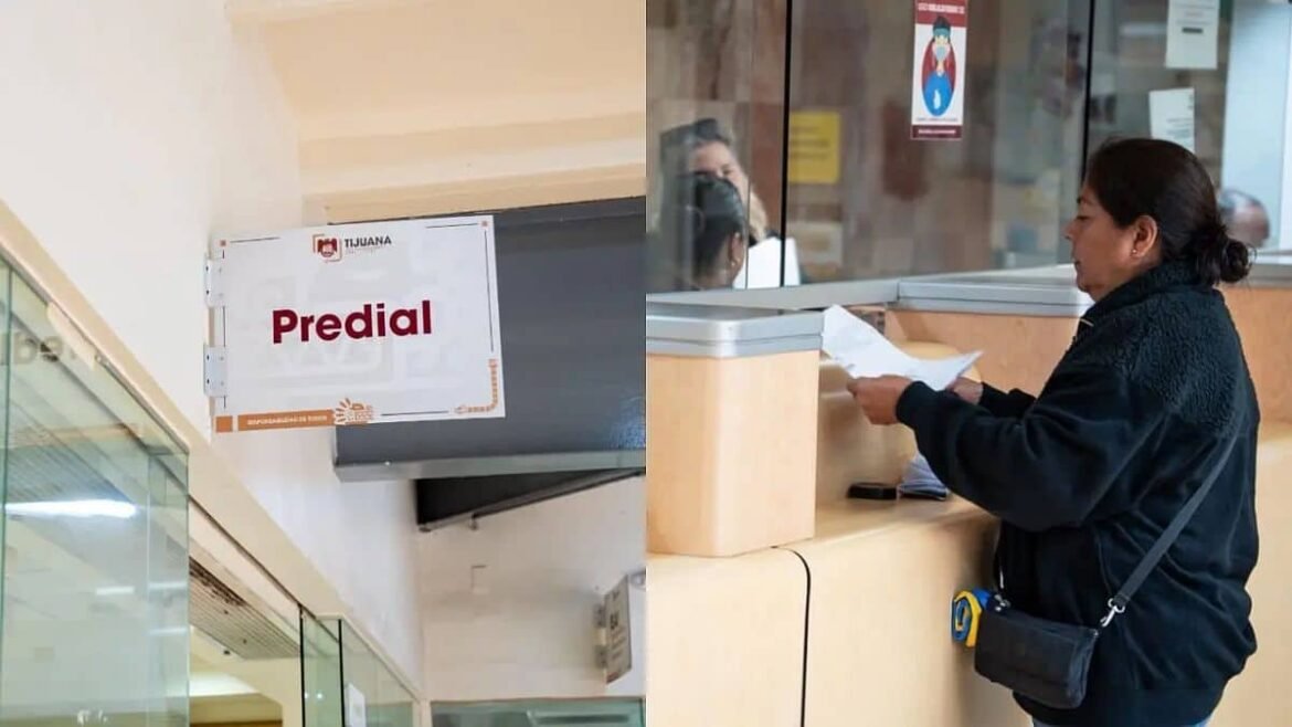 Ciudadanos realizando pagos en Tesorería Municipal de Tijuana 2025